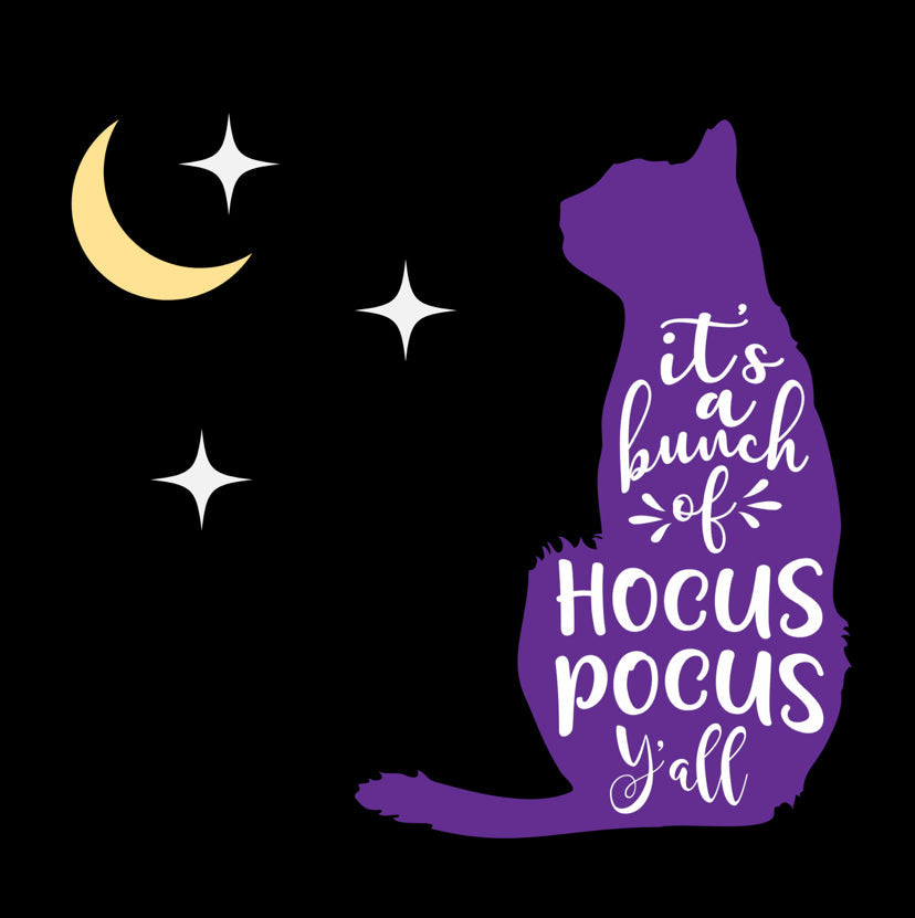 Cat Hocus Pocus Edelstahl Zuhaltung